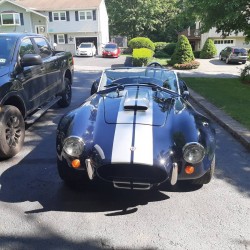 Cobra Lust, V8 ford 5 litres , bleue à bandes grises