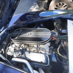 Moteur V8 Ford 5 litres cobra LUST  bleue à vendre en France