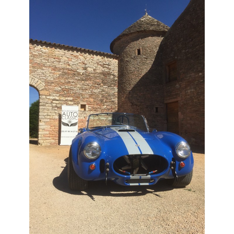 cobra Shell valley  bleue à bandes grises V8 ford 5,8 litres cleveland(2V) à vendre en france