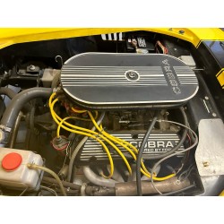 Moteur V8 Ford Small block 351ci Windsor cobra Classic Roadsters jaune  à vendre en france