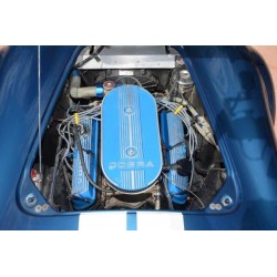 moteur V8 Ford  North American Fiberglass (NAF) cobra 289 FIA
