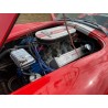 Cobra (réplique) du constructeur Midstates , V8 7,5 L , Boite 5 méca