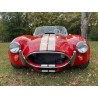 Shelby cobra, Contemporary,  V8 Ford 7 litres et boite 4  mécanique