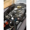 Cobra ARNTZ, V8 Ford 5,8 Litres H0-Boss, boite 4 manuelle