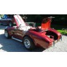1985 Cobra RACC,V8 ford 5,8 Litres Cleveland HO-Boss , Boite 4 Méca