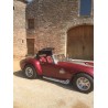 cobra Ron Ayers avec capote pliante à vendre en france