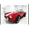 Cobra Classic Roadsters  V8 ford Dart racing 7 litres rouge à vendre en france .