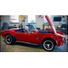 Cobra 1992  (Classic Roadsters LTD) , V8 Ford 7 litres Dart Injection 8 cornets , boite 5 mécanique