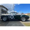 cobra CMC V8 ford 5 litres boite 5 vitesse à vendre en france de couleur vert anglais
