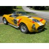 cobra ERA V8 Ford 7 litres Side Oiler jaune à vendre en france