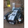 Cobra 1992 (CMC), V8 Ford 5 litres , injection , Boite 5 Méca