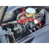Cobra Everett-Morrison, V8 Ford 6,7Litres , Boite 5(DN) mécanique