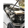 Cobra ERA 1983, V8 Ford (FE) 7 litres ''Cross Bolts''  , Boite 4 mécanique