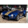 Cobra Everett-Morrison V8 Ford bleu à vendre en france