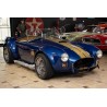 sherry cobra réplique Everett-Morrison bleu V8 Ford 5 litres à vendre en france