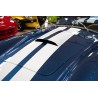shelby cobra 427  Super Snake réplique V8 Ford 5 litres à compresseur