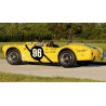 shelby cobra jaune  289 FIA  N° 96  du pilote Allen Grant