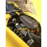Cobra Classic Roadsters  jaune moteur V8 Ford 5,7 litres boite 5