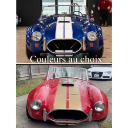 Cobra Shell Valley combinaison d peinture au choix bleu blanc  , actuellement rouge et or