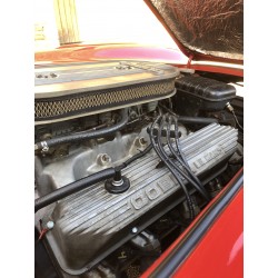 Moteur V8 Ford FE  7 litres  Shelby cobra réplique shell Valley teinte  rouge et or