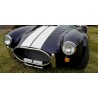 A vendre Cobra Shelby cobra (réplique)  de la Marque ARNTZ à moteur V8 FORD