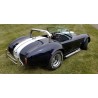 A vendre Cobra Shelby cobra (réplique)  de la Marque ARNTZ à moteur V8 FORD