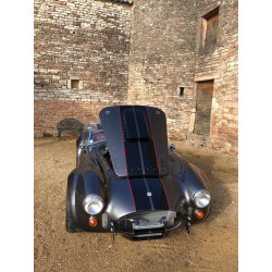 AC cobra 427 , réplique Everett Morrison , V8 Ford 7 litre , grise  intérieur rouge à vendre en france .