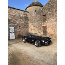 cobra butler  V8 bigblock Ford FE side oiler 7 litres à vendre en france
