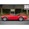 Moteur V8 Ford cobra Unique , Rouge FAM à vendre