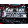 Cobra UNIQUE Motorcars , V8 Ford Windsor 6,4 litres , boite 4