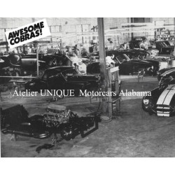 Cobra UNIQUE Motorcars , V8 Ford Windsor 6,4 litres , boite 4