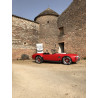 cobra  427SC Classic  Roadsters , V8 Ford, rouge FAM à vendre