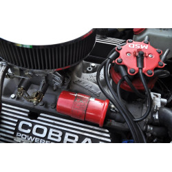 Cobra Classic Motor Carriages 1993, V8 Ford 5 litres(302ci HO) , boite 4 mécanique