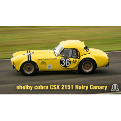 Cobra Classic Motor Carriages 1993, V8 Ford 5 litres(302ci HO) , boite 4 mécanique