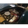 shelby cobra  réplique de la marque Ron Butler (1988).Moteur V8 ford 5,8 Litres  de plus de 400 cv.