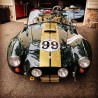 shelby cobra  réplique de la marque Ron Butler (1988).Moteur V8 ford 5,8 Litres  de plus de 400 cv.