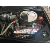 Cobra Everett-Morrison moteur V8 7,4 litres de plus de 500cv
