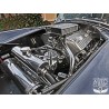 à vendre Shelby AC COBRA , de marque ARNTZ à moteur Ford V8 américain , chez bourgogne auto classic