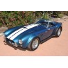 Ac cobra  NAF 1987  option  FIA 289