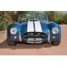 Shelby cobra réplique   FIA 289