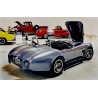 à vendre Shelby AC COBRA , de marque ARNTZ à moteur Ford V8 américain , chez bourgogne auto classic