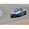 à vendre Shelby AC COBRA , de marque ARNTZ à moteur Ford V8 américain , chez bourgogne auto classic