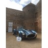 Shelby cobra réplique Butler racing Moteur V8 Ford