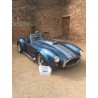 cobra Butler bleu  V8 ford à vendre