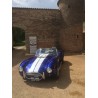 cobra ERA bleu V8 ford 7 litres vendre