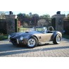 Réplique Shelby COBRA ( L.A.E)  , V8 Ford Bigblock (FE) , boite 4