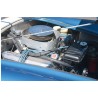 Réplique Shelby cobra 427 ,  Contemporary Classic, V8 Ford 7 litres